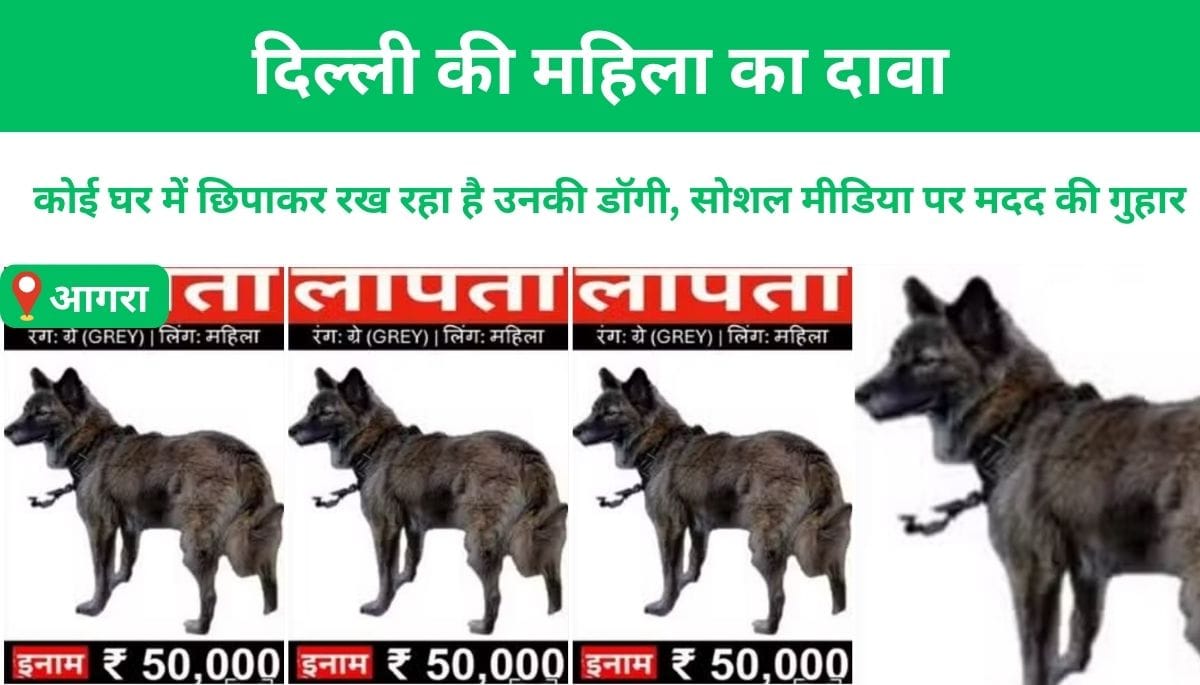Kasturi Ghosh of Delhi is worried about the disappearance of her dog "Greyhound"
