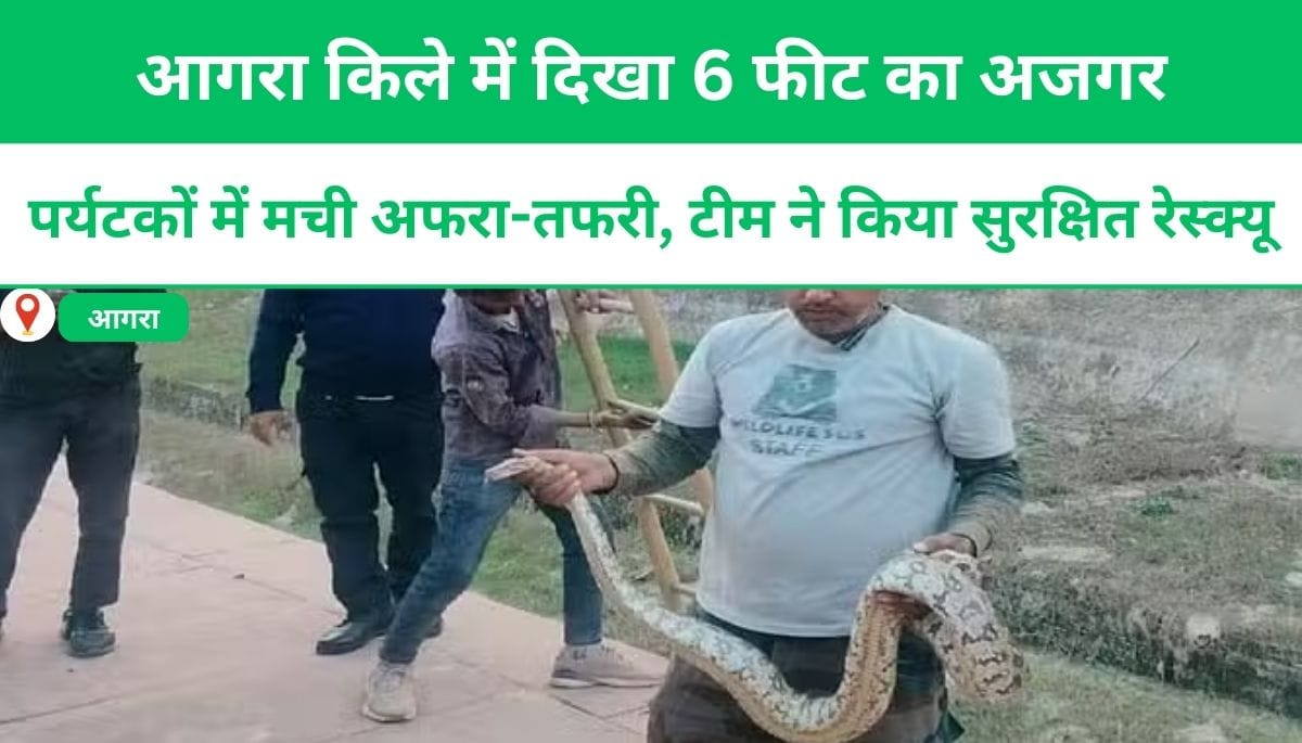 आगरा किले में दिखा 6 फीट का अजगर, पर्यटकों में मची अफरा-तफरी, टीम ने किया सुरक्षित रेस्क्यू